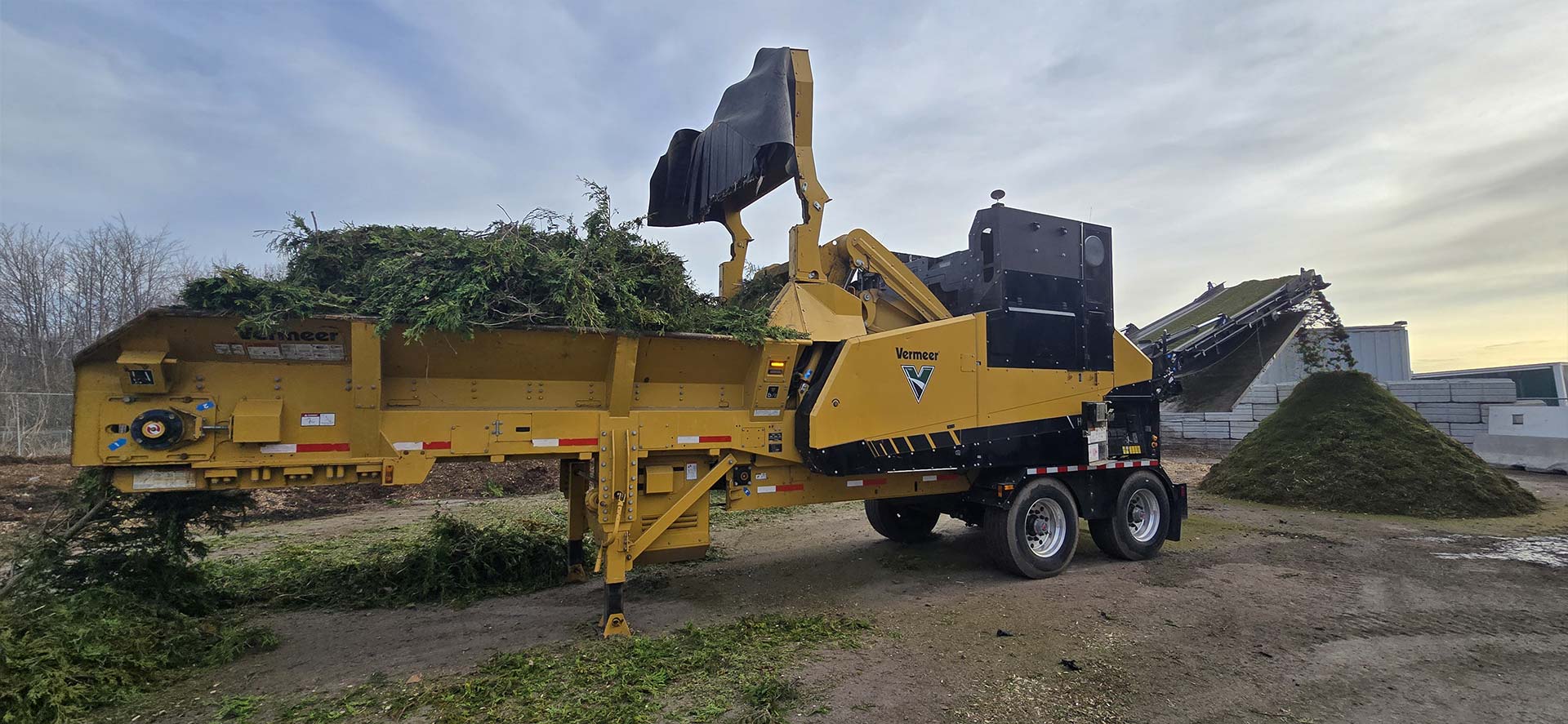 Déchicteuse forestier